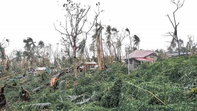 Irish dairy farmer's donation appeal after massive storm in Philippines