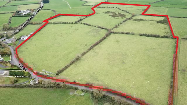 45.5ac of prime Kerry land sells for €1.175m at auction