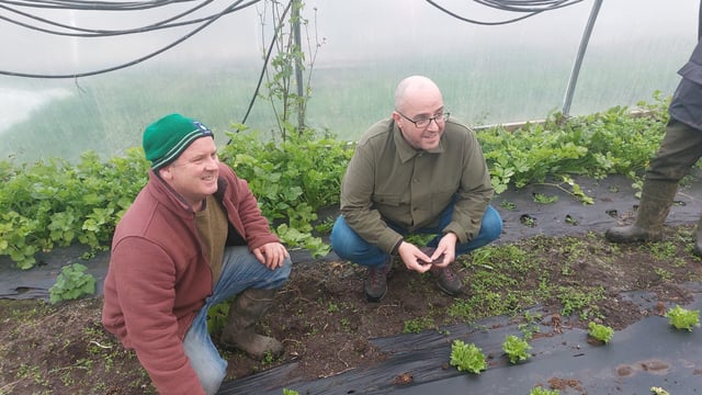 MacManus: Minister 'asleep at the wheel' on organic farming