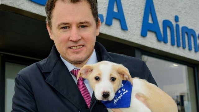 €3.7m announced for animal welfare organisations