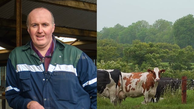 Interview: 'CAP review hugely concerning' says ICMSA president