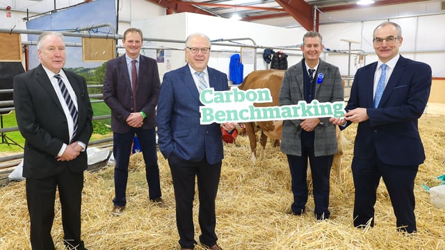 NI initiative to tackle dairy sector carbon emissions