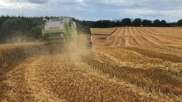 €8m to be issued to tillage farmers under Straw Incorporation Measure