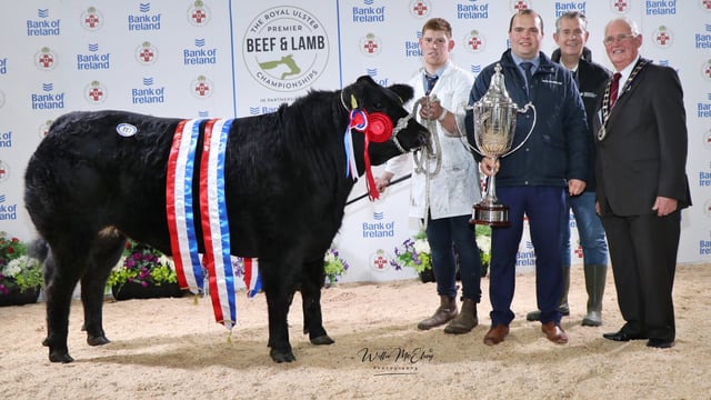 Major prices paid at Royal Ulster Beef and Lamb Championships