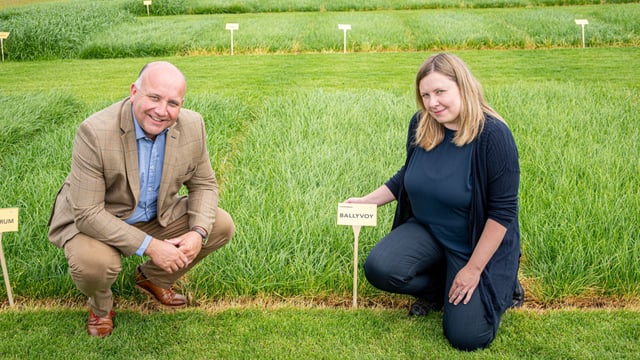 Ballyvoy and Dundrod - two new perennial ryegrass varieties from AFBI