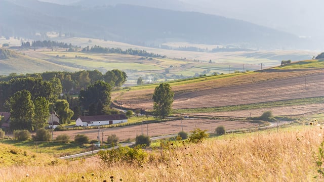 World Farmers' Organisation to return to in-person General Assembly