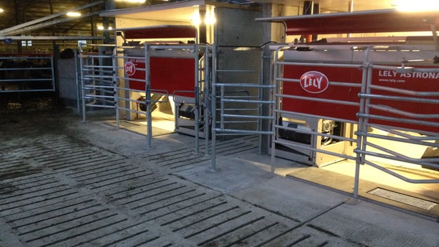 Dairy Focus: 20 years of robotic milking on this organic farm