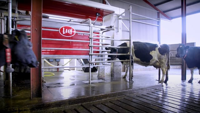 New Lely base confirmed for Kilkenny to serve southeast