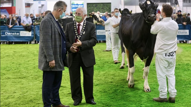 Direct payments to NI agricultural shows 'may not' be an option - Poots