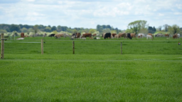 Almost 80 Teagasc staff earned over €100,000 last year