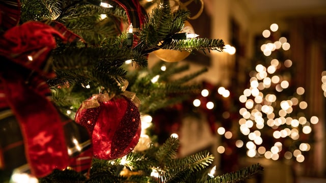 'Never take risks': Call for safety this Christmas