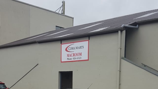'Growing customer base for Scotch lambs' at Macroom