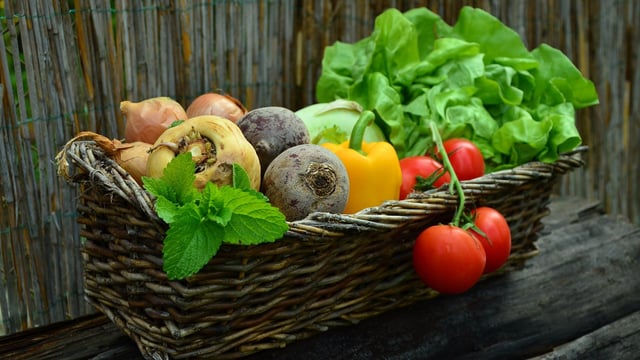 CSO: Food prices increased again in June