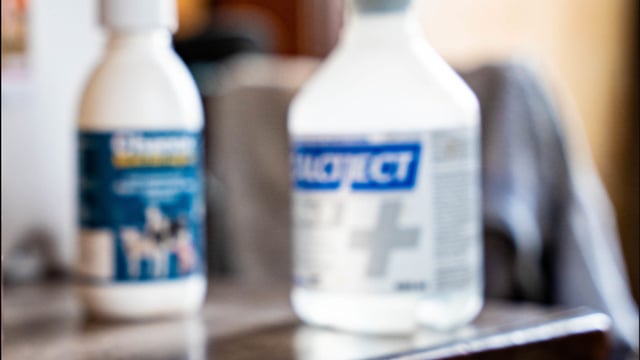 Call for further discussion on veterinary medicines changes