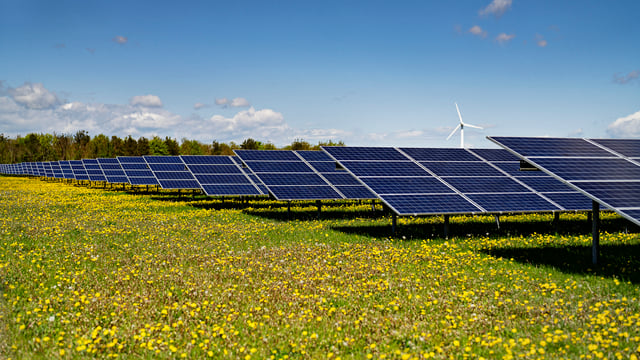 Arla's ambitious solar park plan expected to cover 33% energy consumption