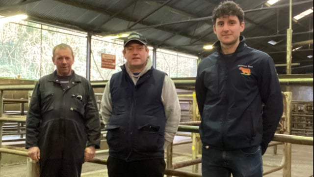 Cavan Mart reopens for 2022 under new management