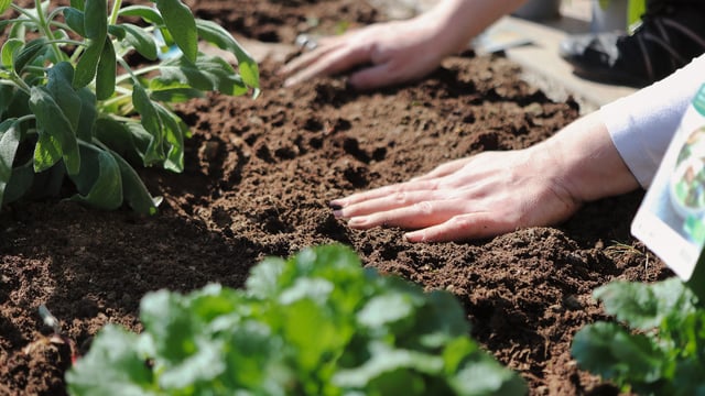 Soil fertility was stable in 2022, but Teagasc advises caution