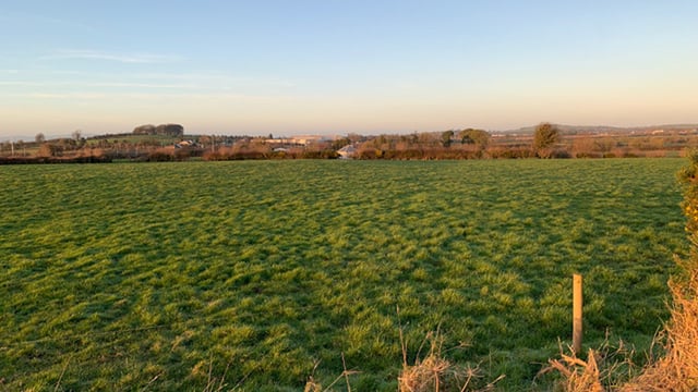 'Exceptional' portion of Golden Vale land for sale
