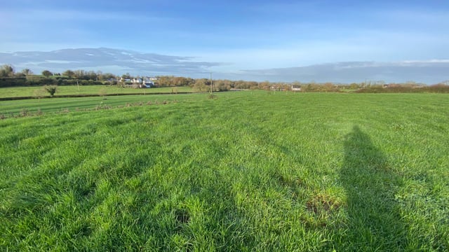 '148ac top class dairy farm' for sale in Co. Limerick