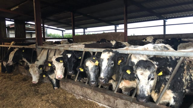 Beef trade: Changes to factory bonuses for certain types of cattle