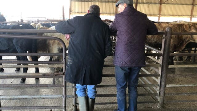 Fair farmer beef price: Are EU shoppers concerned about it?