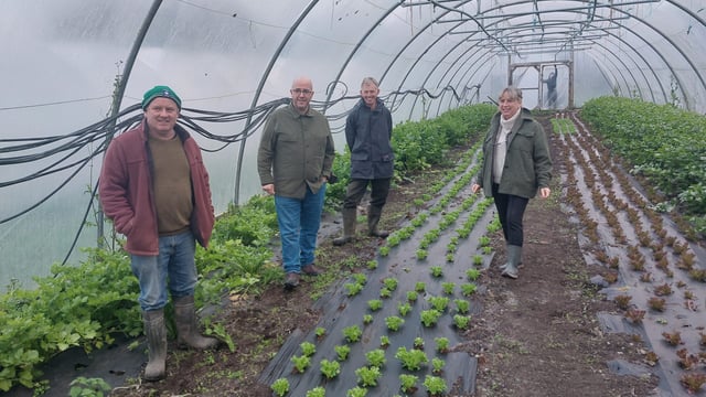 EU project sees Irish organic growers double sales in 3 years