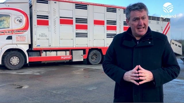 Video: MEP outlines his proposals for new EU animal transport rules