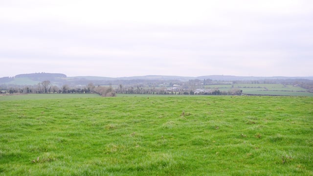 Sinn Féin would leave farmers 'neglected and vulnerable' - TD