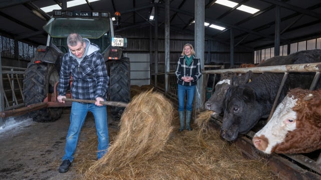 Mayo social farm visit 'extra special' says Hackett