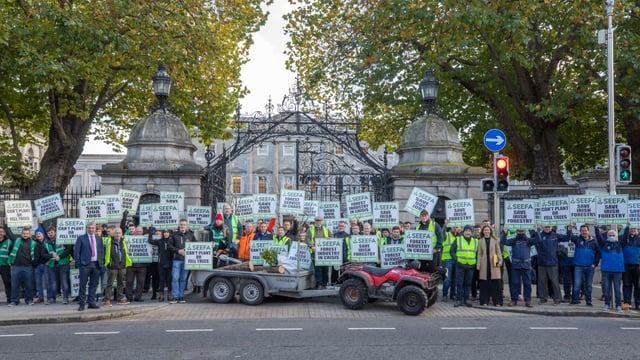 SEEFA calls for publication of planned output per forestry licence