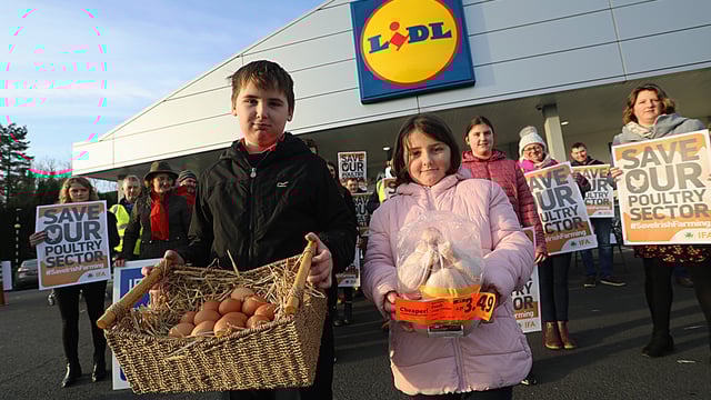 Lidl to hold meeting with farmers to discuss poultry pricing concerns