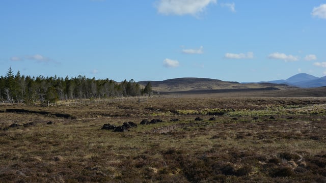 Claims EU Commission funded Nature Restoration Law lobbying