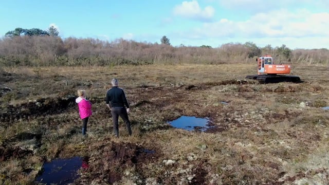 'The lungs of Ireland' - first peatland restoration project in Co. Clare