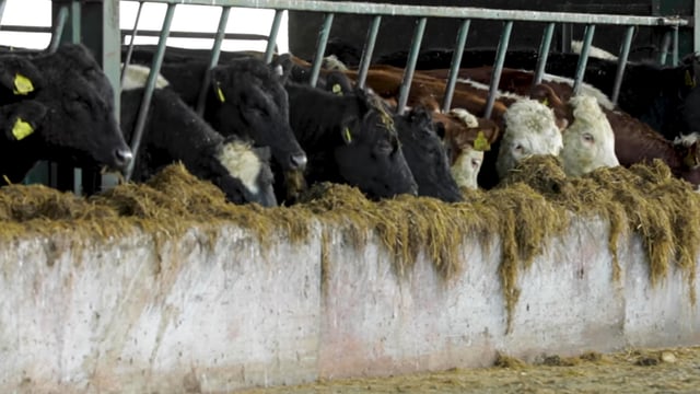 Call for ACRES application process to be simplified