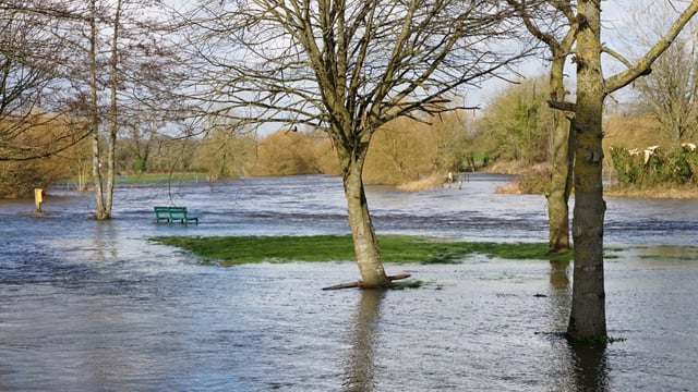 Storm Claudia: Farmers advised to move livestock to higher ground