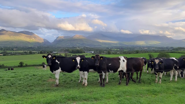 Farmers must 'adapt' to survive warns Lely CEO