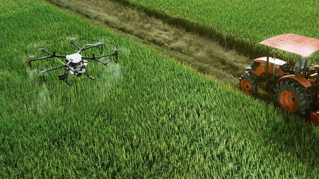 Drone technology to predict animal health and crop disease