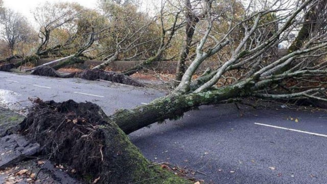 Irish Rural Link calls for enhanced extreme weather supports