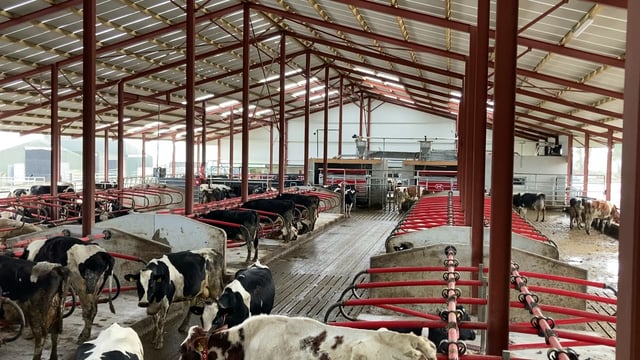 Buildings Focus: 2 robots and 156 cubicles under one roof in Limerick