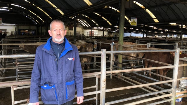 New manager takes the reins at Baltinglass Mart