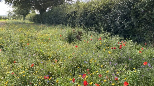 Views sought on Farming for Nature