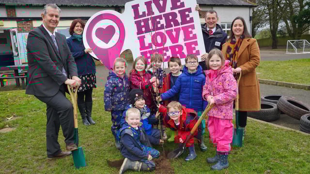 NI: £2m scheme to improve health of bees and pollinators