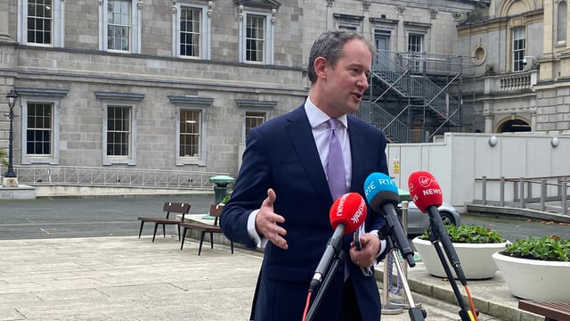 Dáil debate over afforestation licences and a 'lack of ambition'