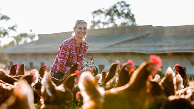 EIP projects on animal health and gender balance sought