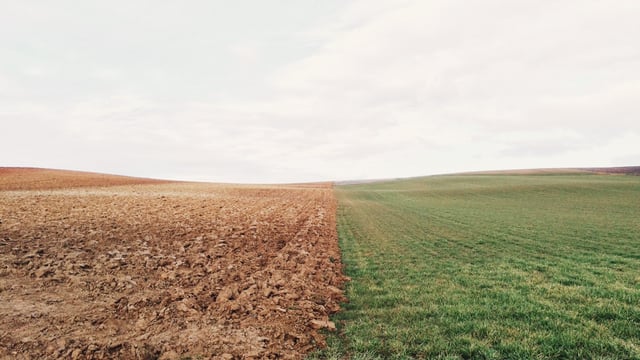 Investment in soils could not only benefit the environment - research