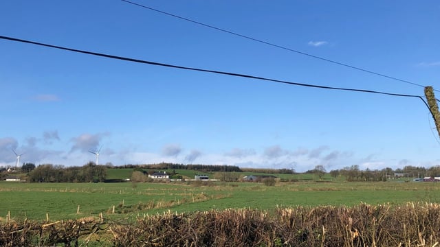 NI National Hedgerow Week to take place next week