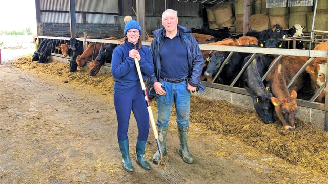 Beef Focus: Family effort on Wicklow suckler/sheep farm