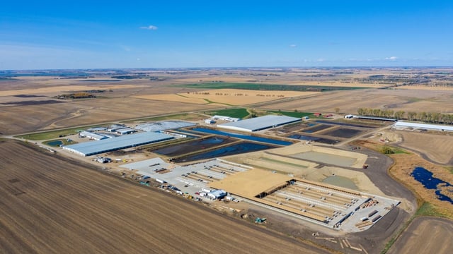 Friday: A look around this large South Dakota dairy farm