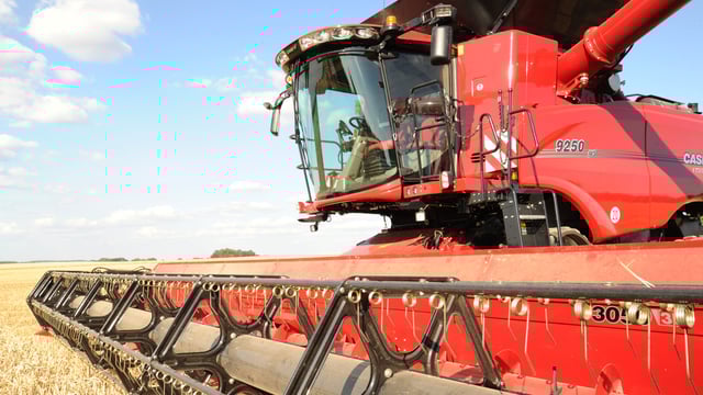 Machinery Focus: Mushrooms and fast horses - the growing technology gap
