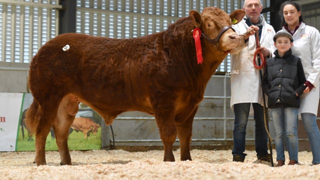 Limousin sale sees top price of €7,000 for Leitrim-bred bull